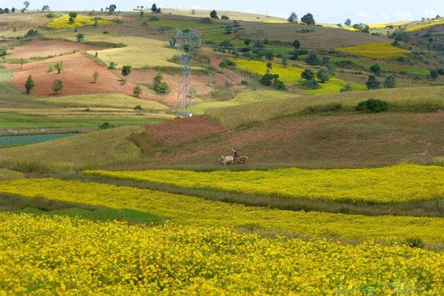 Yangon Cycling To Bagan 8 Days